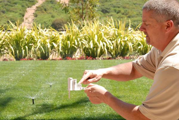 Leitura de tensiômetro em solo orgânico de hortaliças mostrando tensão de água para decisão de irrigação precisa e sustentável