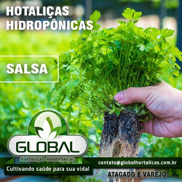 Aplicação de kit de nutrientes em sistema hidropônico de hortaliças, mostrando equilíbrio de pH e EC