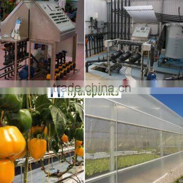 Processo de correção de pH na água para sistemas hidropônicos