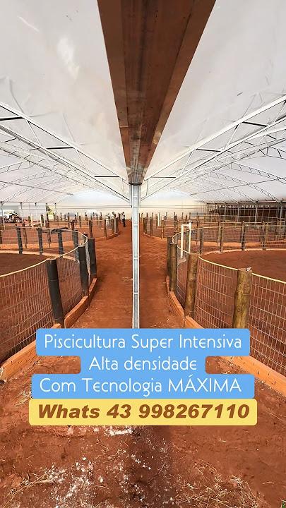 Exemplo de tanque-rede otimizado para densidade de alevinos de tilápia em sistema de piscicultura