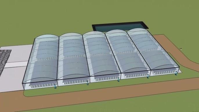 Densidade Ideal de Estocagem de Alevinos de Tilápia em Tanque-Rede: O Que Afeta o Lucro na Piscicultura