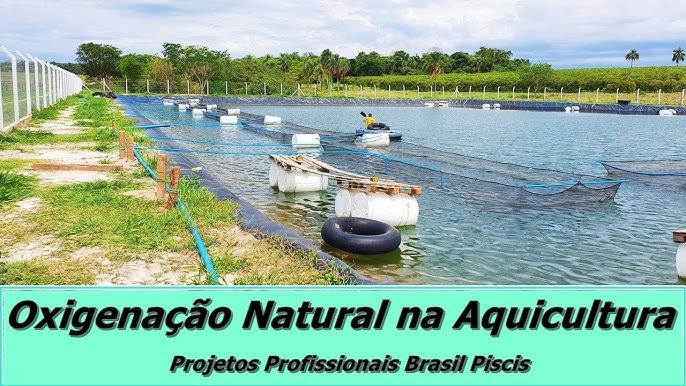 Instalação de aerador de palheta em viveiro de tilápia para oxigenação eficiente