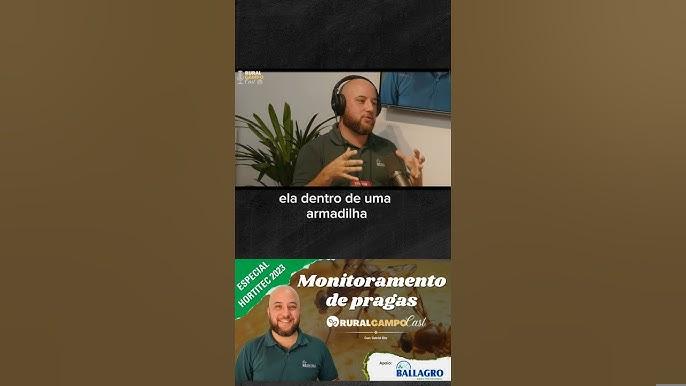 Monitoramento eficaz de broca-do-café com armadilhas de feromônio em plantação de café arábica