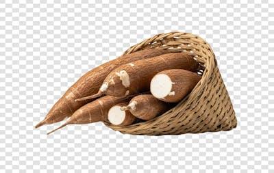 O que fazer quando a raiz da alface hidropônica fica marrom ou gelatinosa?