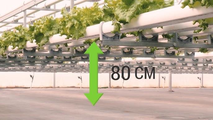 Instalação de bomba e tubulações no reservatório de solução nutritiva para hidroponia NFT