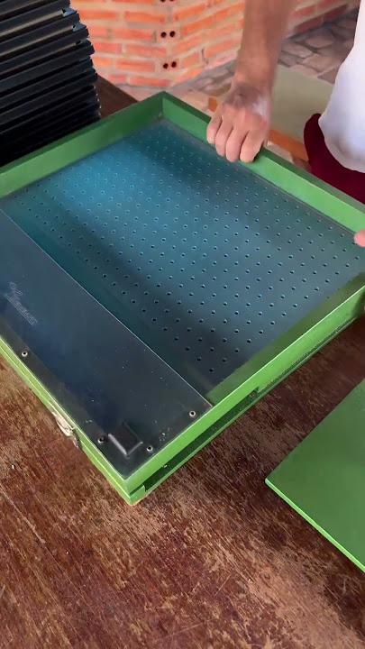 Aplicação de espuma fenólica na semeadura hidropônica para mudas de hortaliças