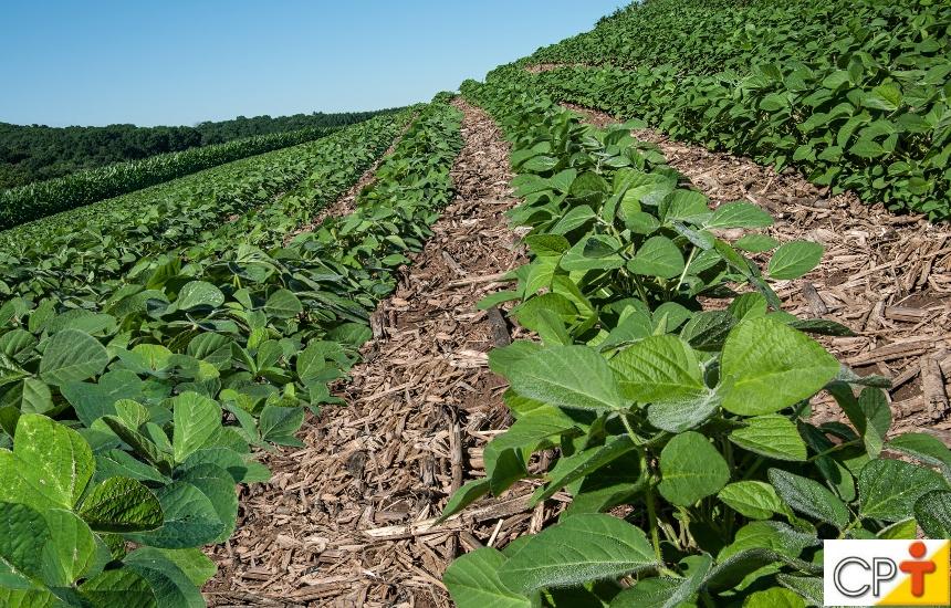Exemplo de aplicação variável de fósforo baseada em mapa de análise de solo em malha para talhões irregulares