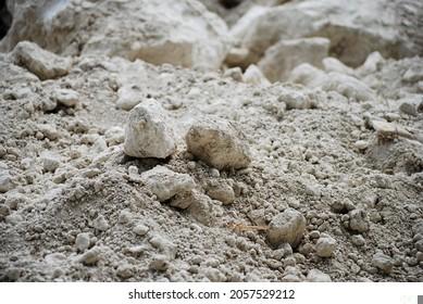 Raízes desenvolvidas em solo corrigido com calcário dolomítico no sistema de plantio direto, evitando problemas na emergência