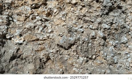 Aplicação de Calcário Dolomítico no Plantio Direto: Onde Colocar sem Prejudicar a Emergência das Sementes