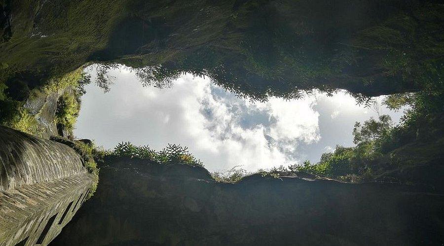 Análise foliar de trigo deficiente em enxofre em solo de baixo CTC