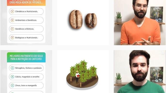 Resultados de correção de potássio em solo para lavoura de milho saudável e produtiva