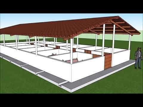 Instalação de piso antiderrapante em baia de suínos para evitar lesões durante terminação