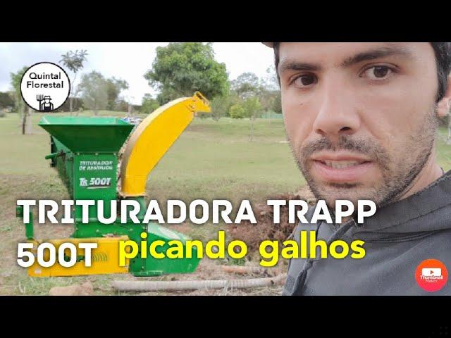 Foto do Triturador de galhos TR-500 Trapp em uso