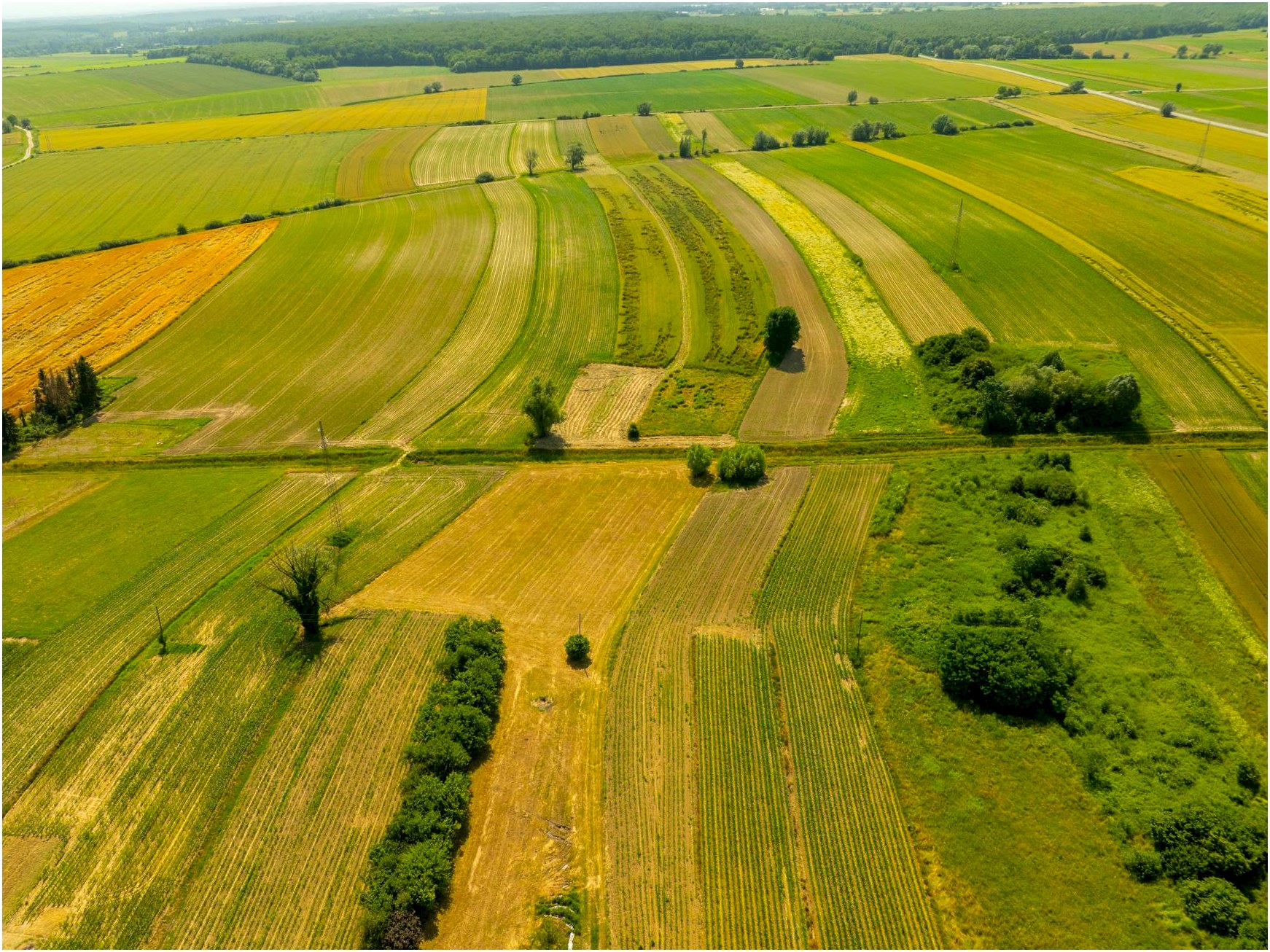 Flávio: Agro é tratado como lixo pelo atual governo, diz na Agrishow