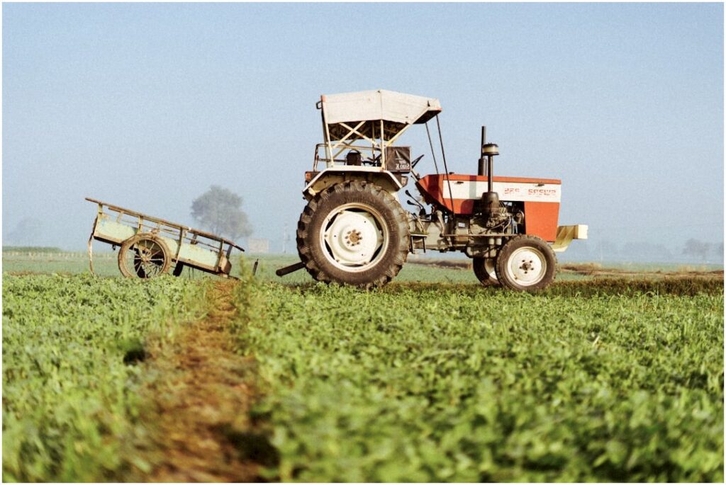 Exportações do Agro Brasileiro Batem Recorde com 22% de Alta e Superam US$ 160 Bi em 2024