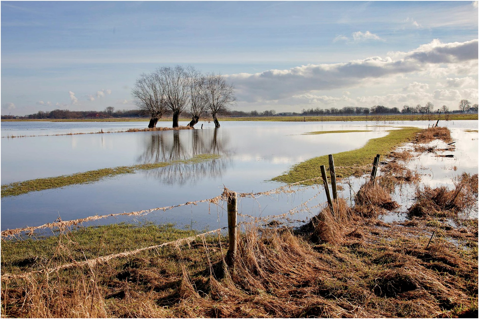 Scenic image of a flooded field with reflections of trees and clouds in Nijmegen, Netherlands.