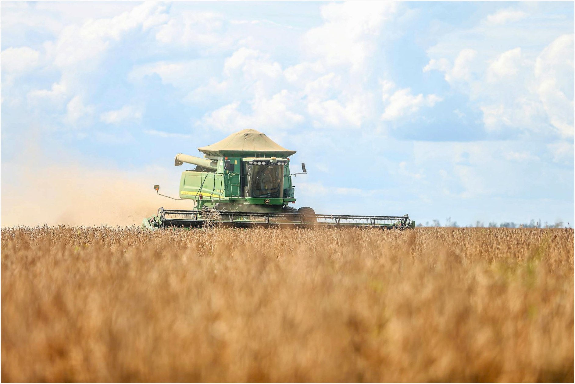 A green combine harvester working in a vast soybean field under a cloudy sky.