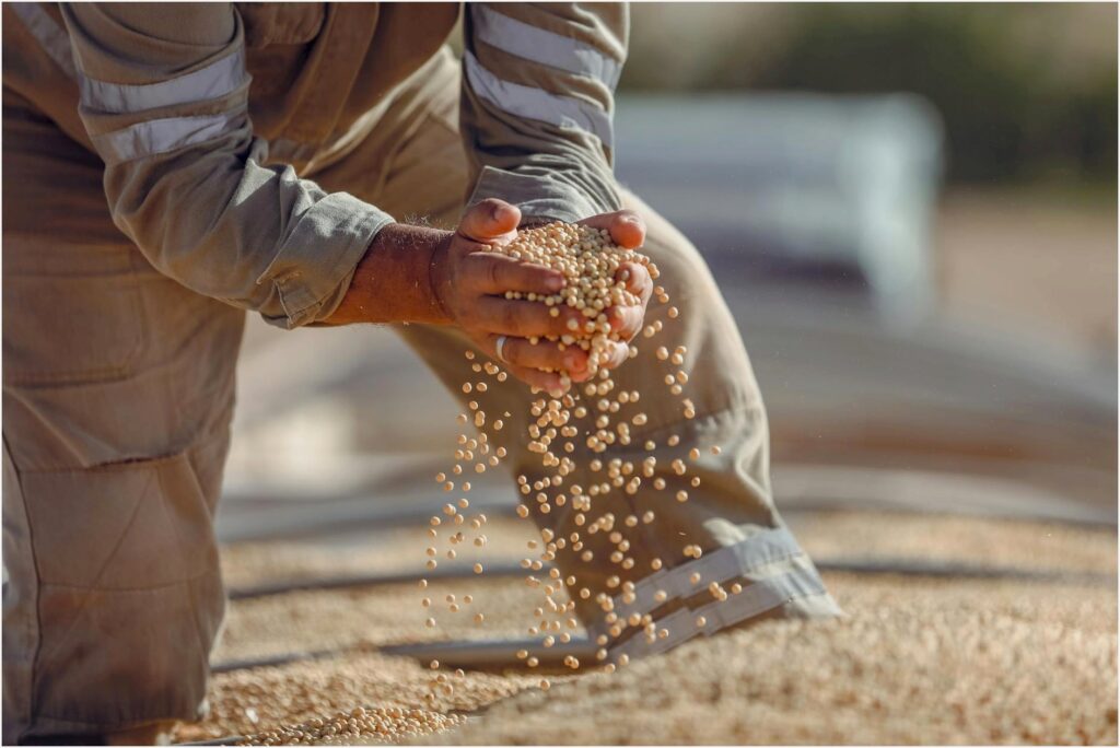 Safra de Soja 2024 Bate Recorde Histórico no Brasil Apesar da Seca e Preços Disparam 15%