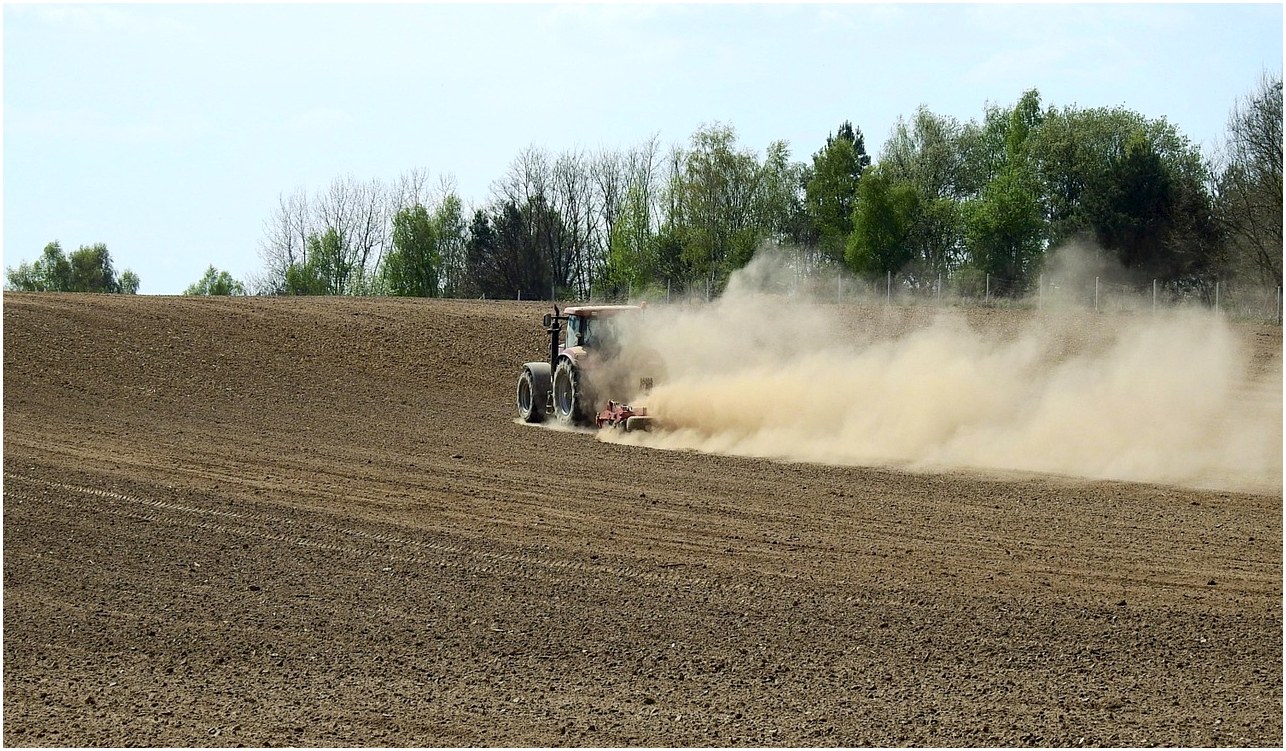 drought, field, agriculture, nature, landscape, spring, field work