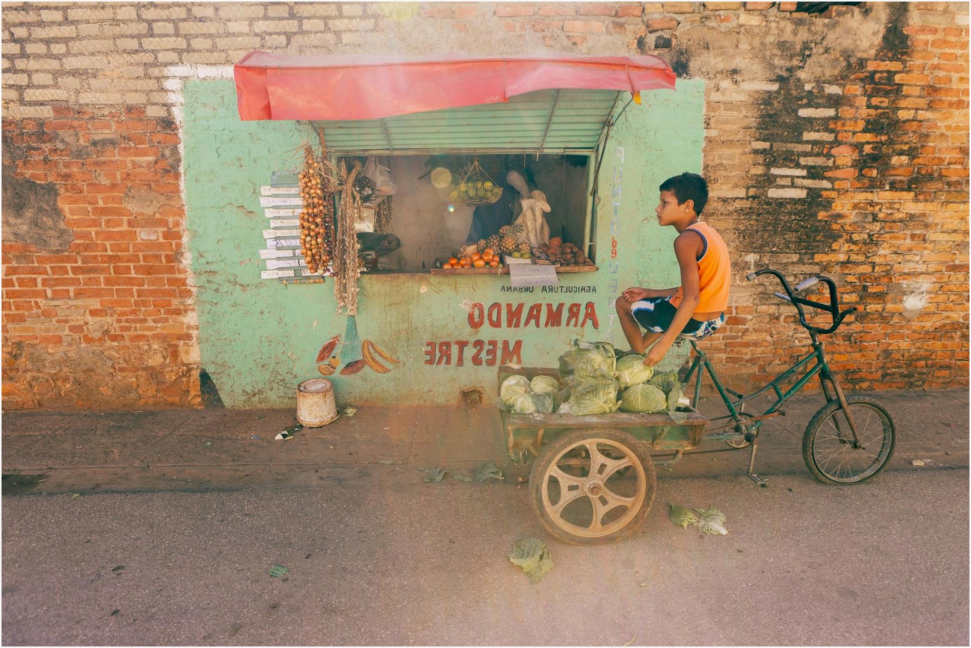 Boy with bicycle and cart selling vegetables in vibrant urban street scene.