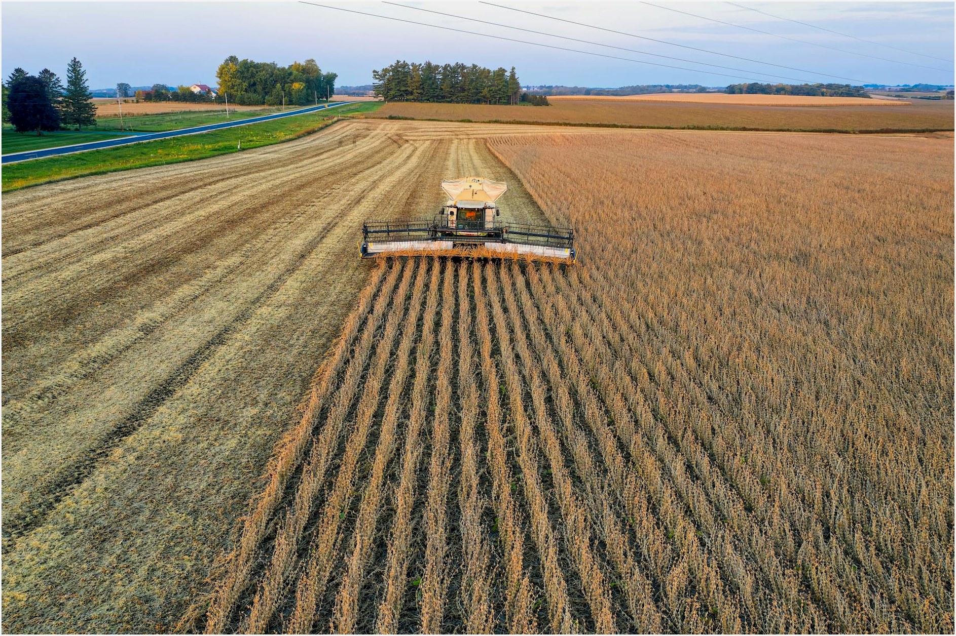 Drone shot capturing a combine harvester harvesting soybeans in a rural Minnesota farm field.