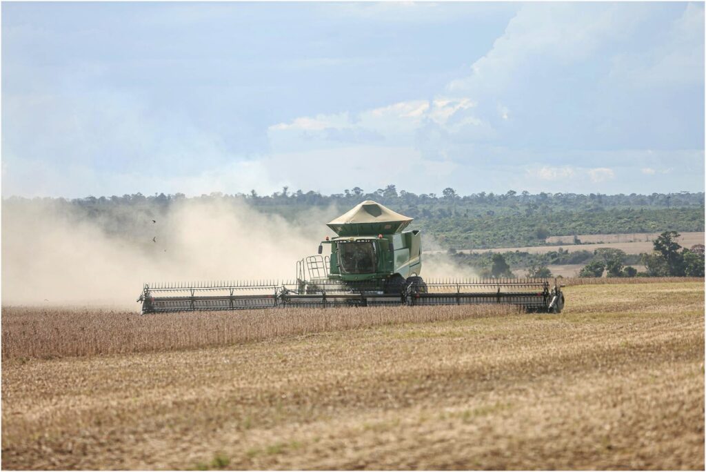 Preços da Soja Disparam 25% com Seca no Brasil: Safra em Risco e Oportunidade de Lucro Milionária