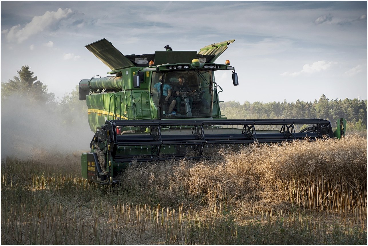 harvest, combine harvester, wheat harvest, machine, grain, wheat, combine harvester, combine harvester, combine harvester, combine harvester, combine harvester