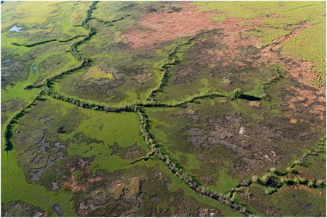 green and brown grass field