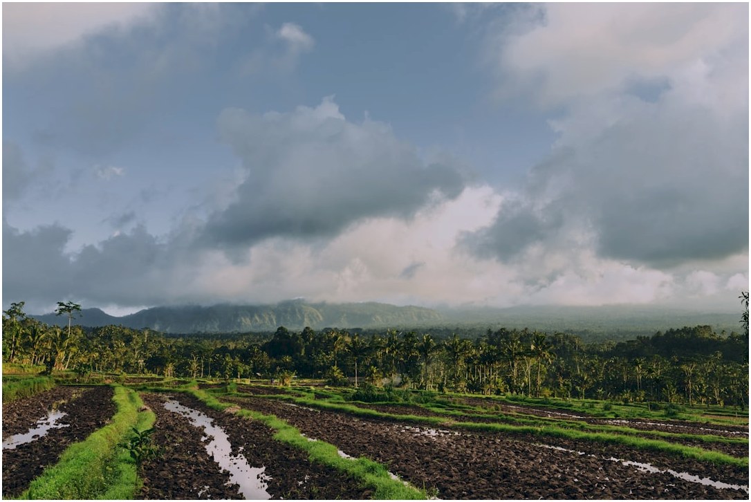 rice terraces during daytime