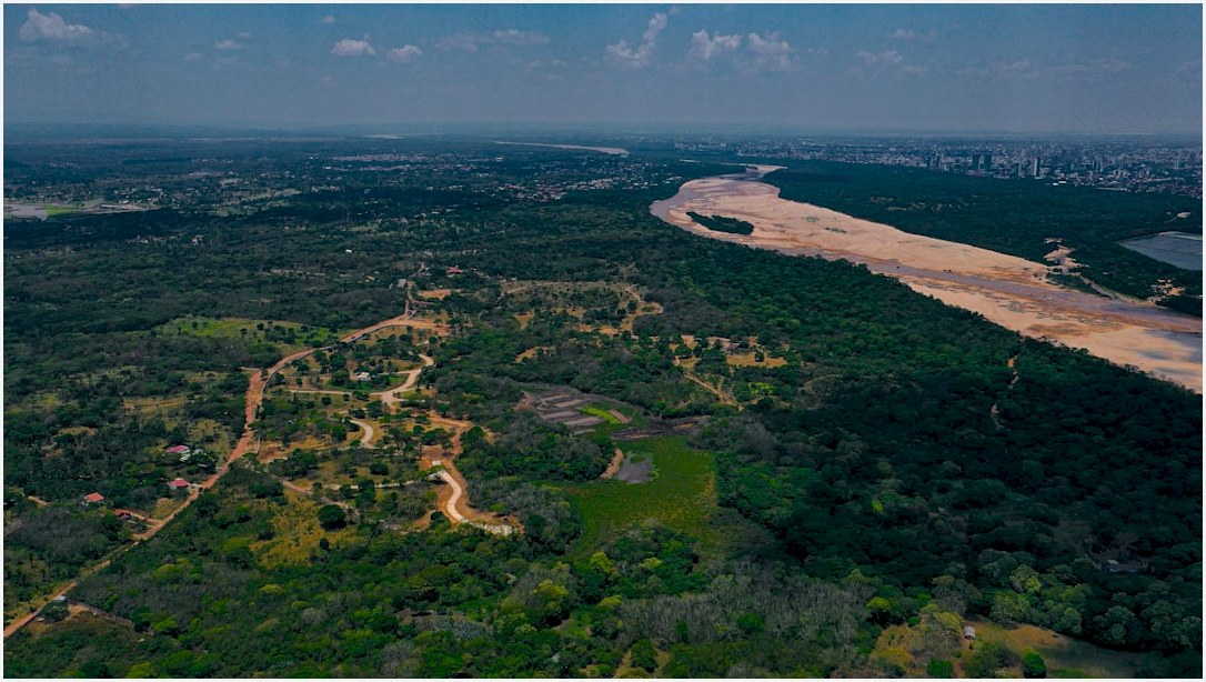 aerial view of green trees and body of water during daytime