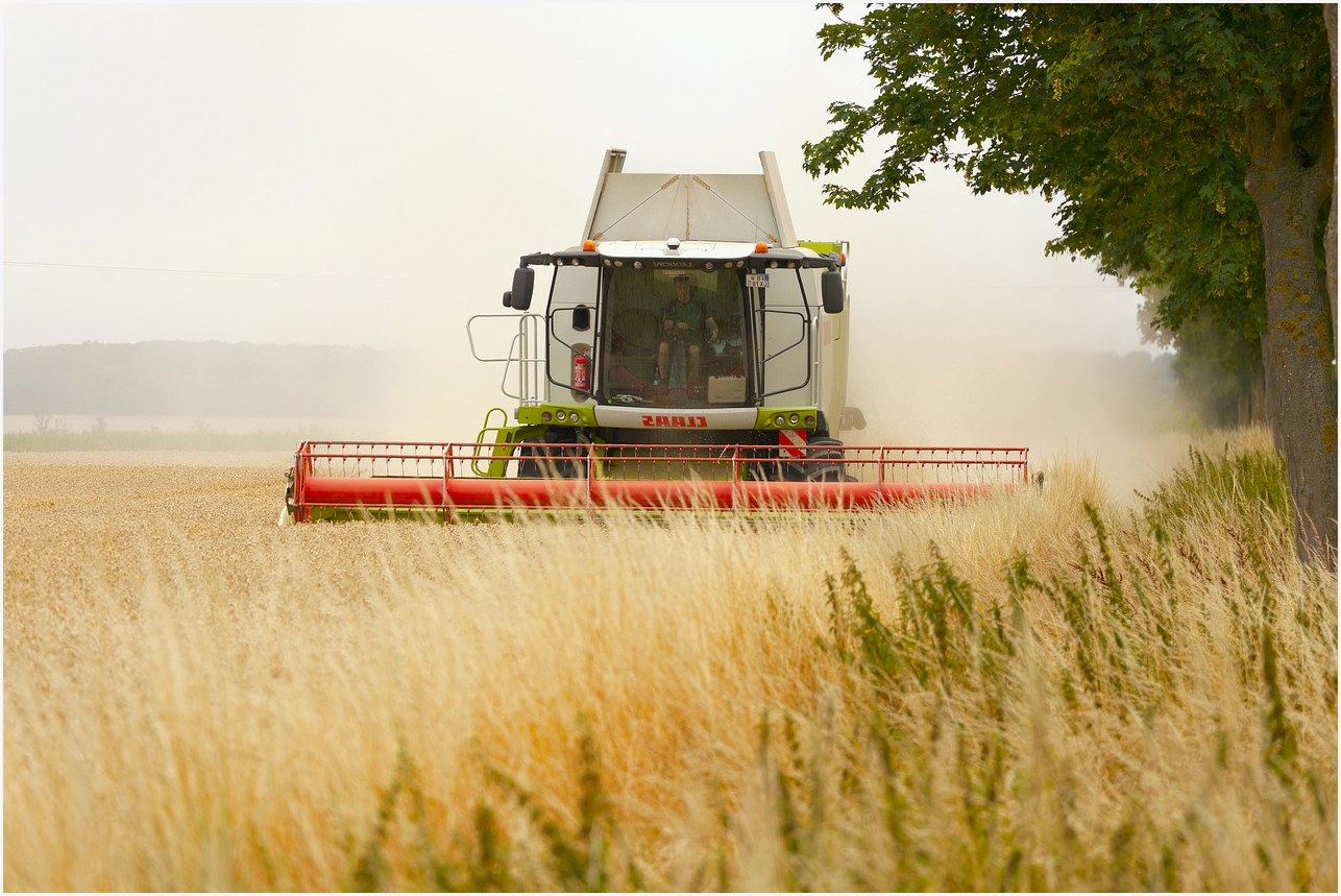 combine harvester, agriculture, harvest, grain, panasonic, lumix, wetterau, hesse, germany, claas