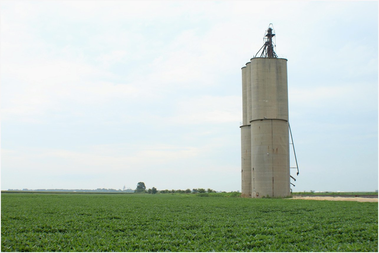 farm, field, rural, grain elevator, silo, railroad, small town, soybeans