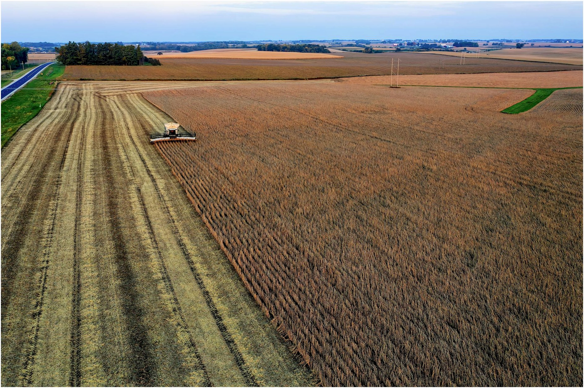 Aerial view of a combine harvester working in expansive cropland in Minnesota, USA.