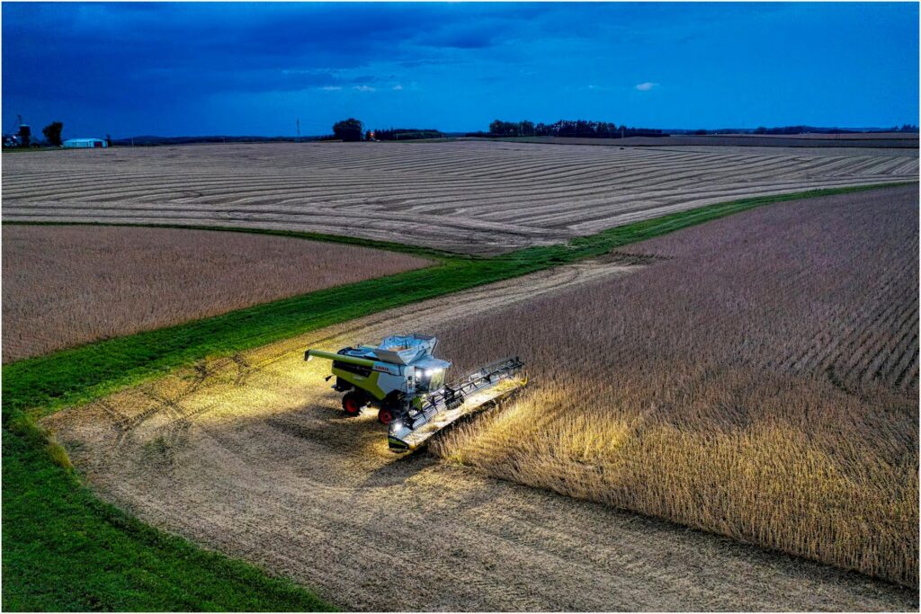 Revolução na Agronomia: Descoberta Brasileira Triplica Produção de Soja e Enfrenta Mudanças Climáticas