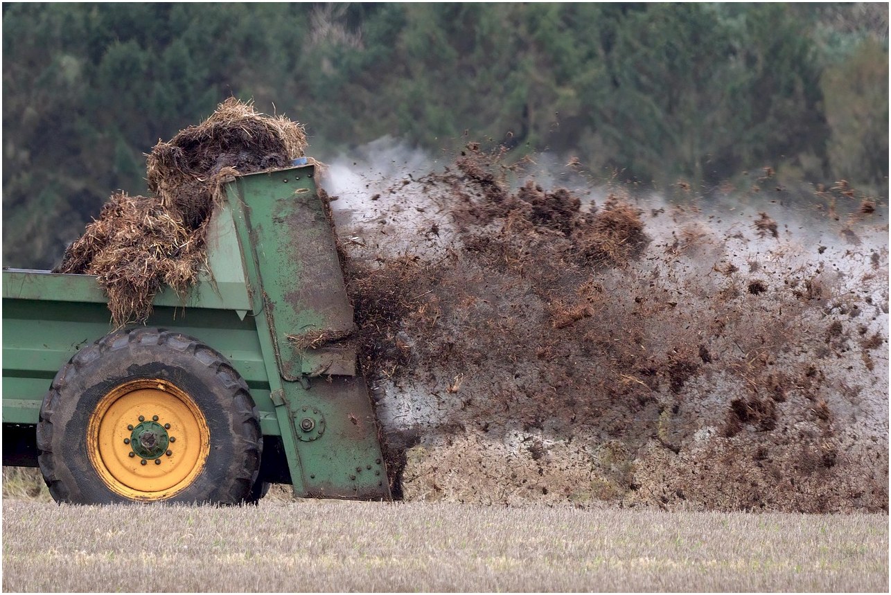 manure, muck spreader, field, muck spreading, manure spreader, farm, fertilizer, organic fertilizer, arable, agriculture, rural, manure, manure, manure, manure, manure, fertilizer, fertilizer, organic fertilizer