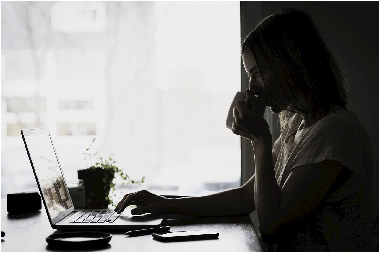laptop, apple, macbook, computer, browser, research, study, work, desk, people, woman, laptop, laptop, computer, computer, computer, research, research, research, research, study, study, study, study, study, work, work, work, work