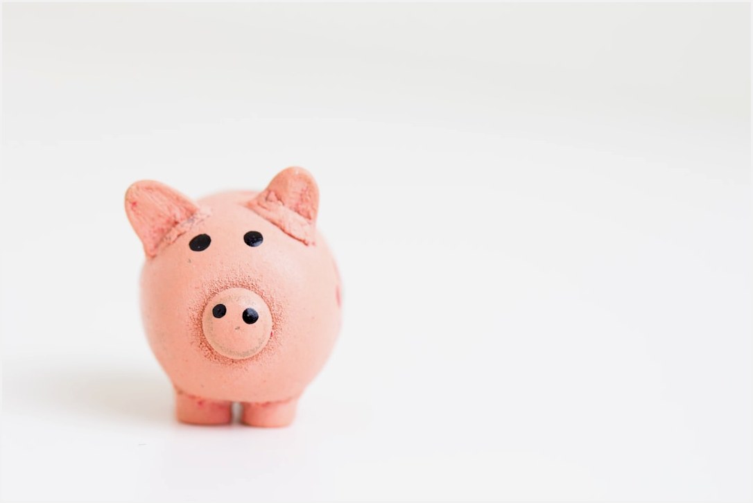 pink pig figurine on white surface