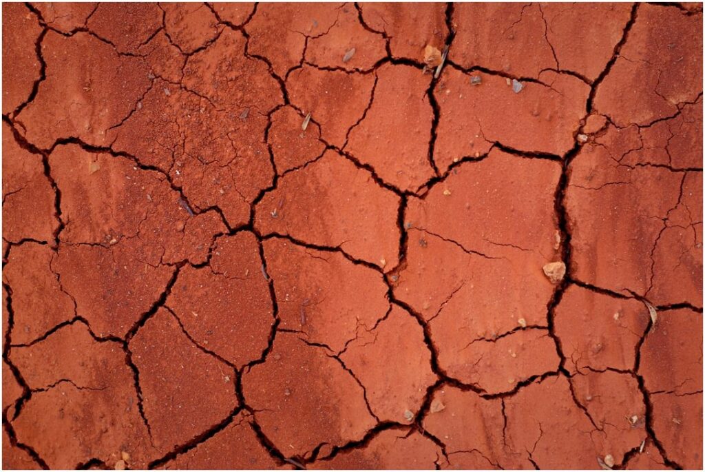 Seca devasta colheitas de soja e faz preços explodirem 40% no Brasil