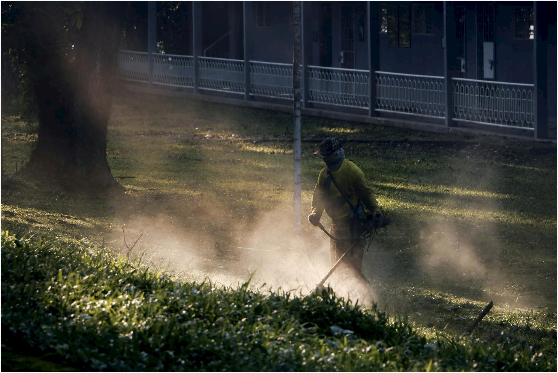 A man cuts grass in the Philippines, creating a dust cloud in the sunlight.
