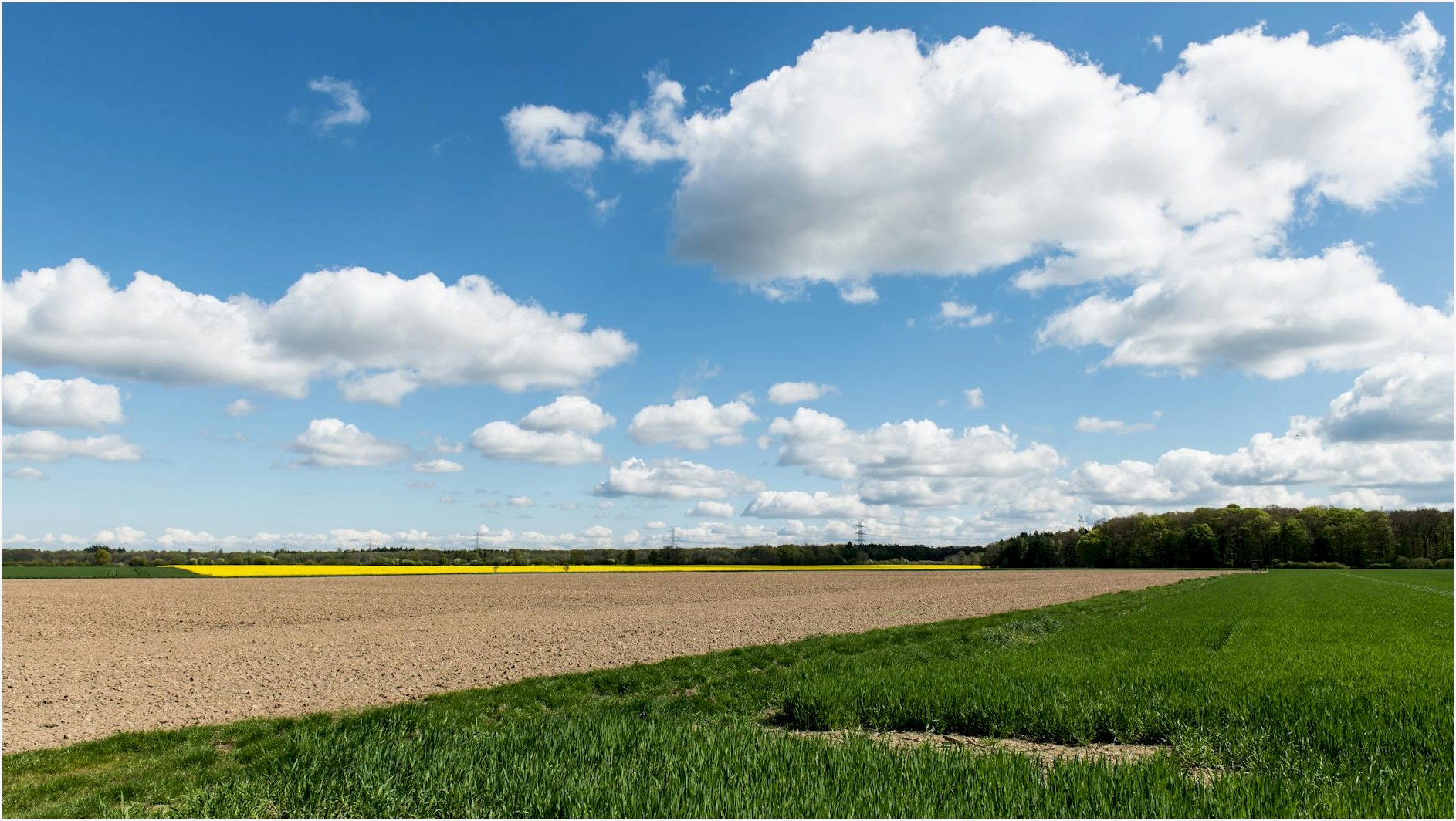 Idyllic spring scene of farmland with fields and clouds in Lauenburg, Germany.