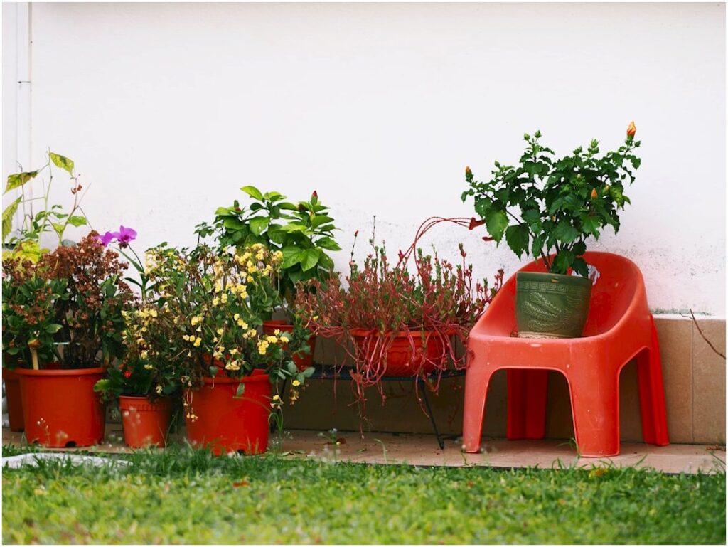 Adubo orgânico ou químico qual melhor para sua plantação