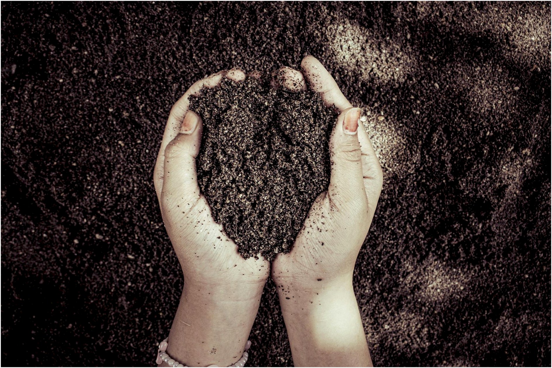 Two hands cupping dark soil, symbolizing nature and growth.