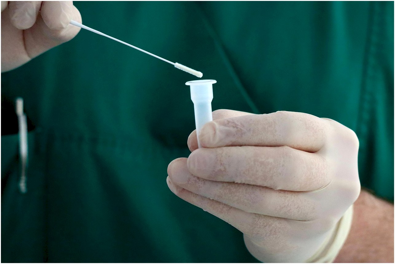 corona, medicine, pandemic, corona test, quick test, covid-19, covid, health, corona, corona, corona test, corona test, corona test, covid-19, covid, covid, covid, covid, covid