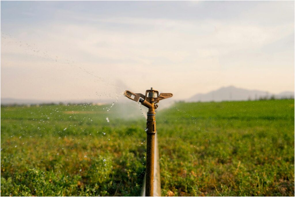 Quanto Custa Montar Sistema de Irrigação: Valores Reais e O Que Vale a Pena