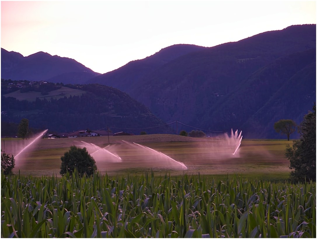 Farm sprinklers watering crops at dusk with mountains background