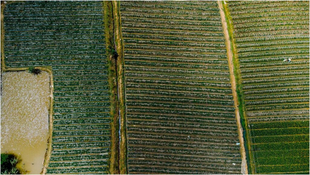 Como calcular irrigação por hectare sem complicação