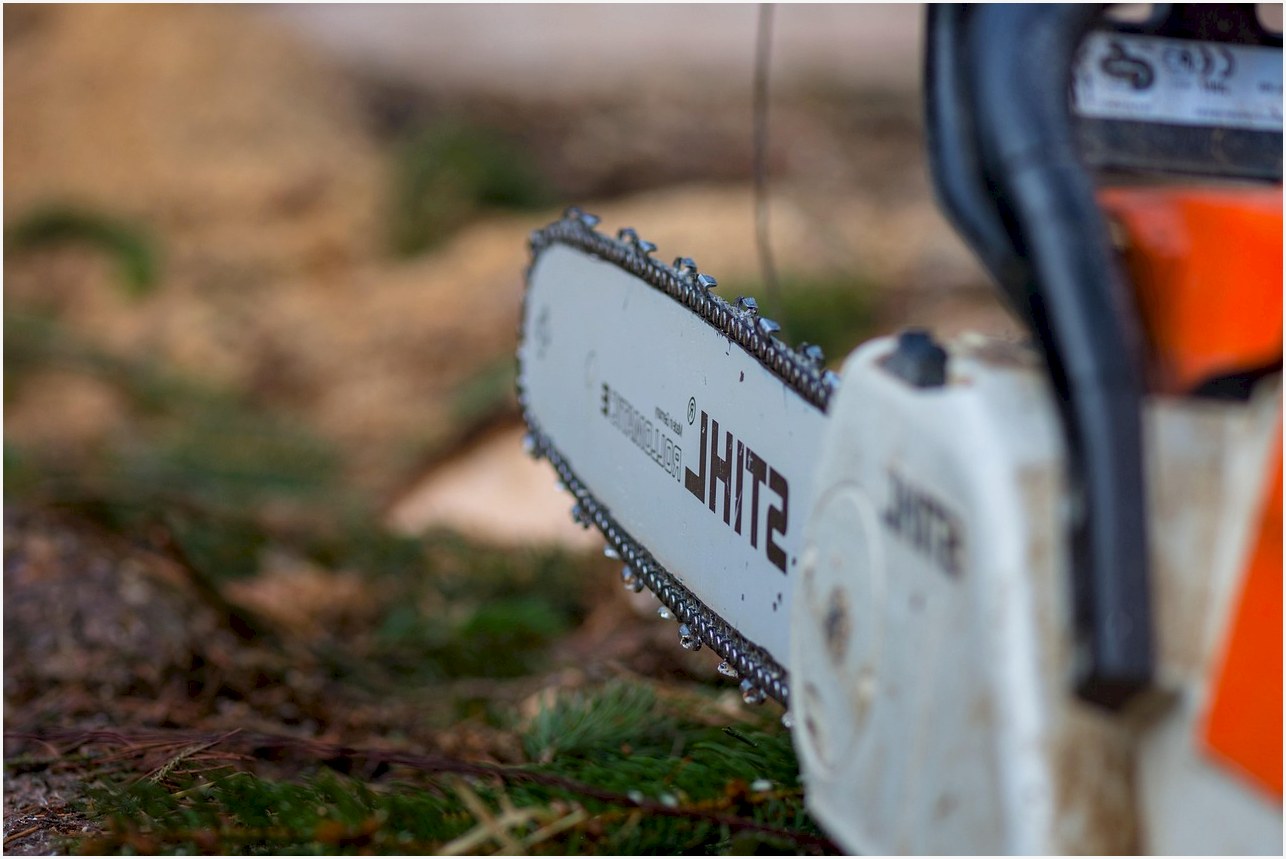chainsaw, woodwork, work, nature, saw, chain, sharp, teeth, chainsaw, chainsaw, chainsaw, chainsaw, chainsaw