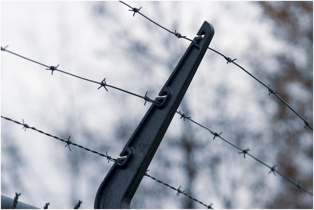 a close up of a barbwire fence with barbed wire