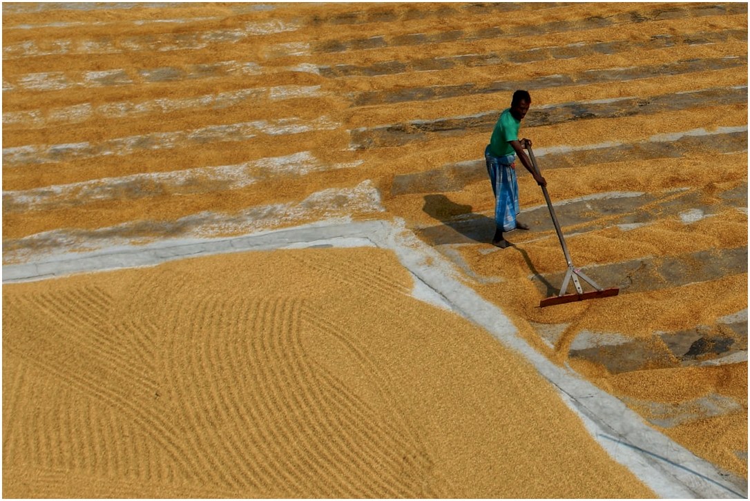 a woman with a mop is standing in a field