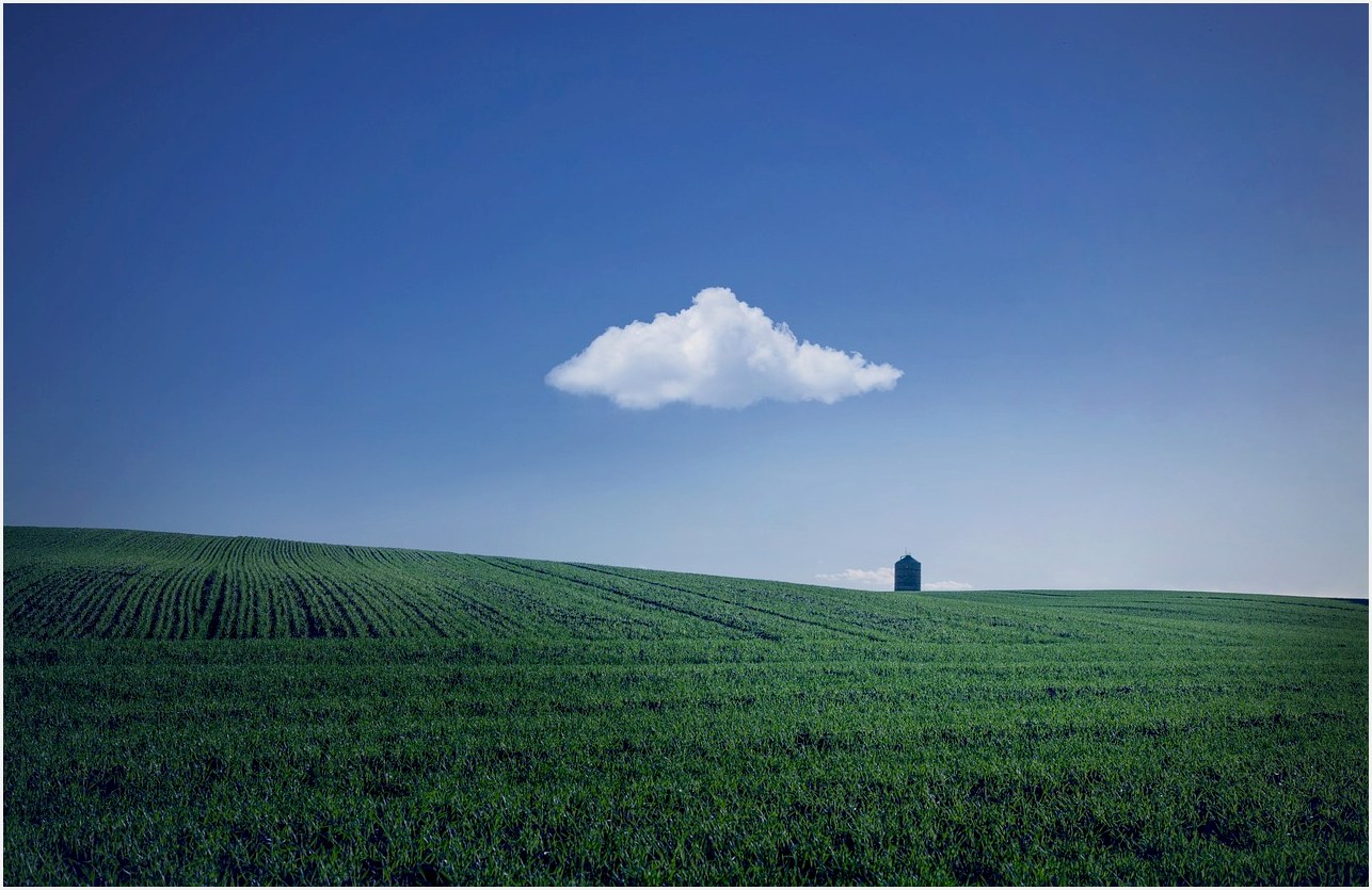 fields, farm, house, farmland, agriculture, horizon, cloud, sky, blue sky, nature, rural, countryside, landscape, farm, farm, farm, farm, farm, house, farmland, agriculture, agriculture, cloud, cloud, sky, blue sky, blue sky, blue sky, nature